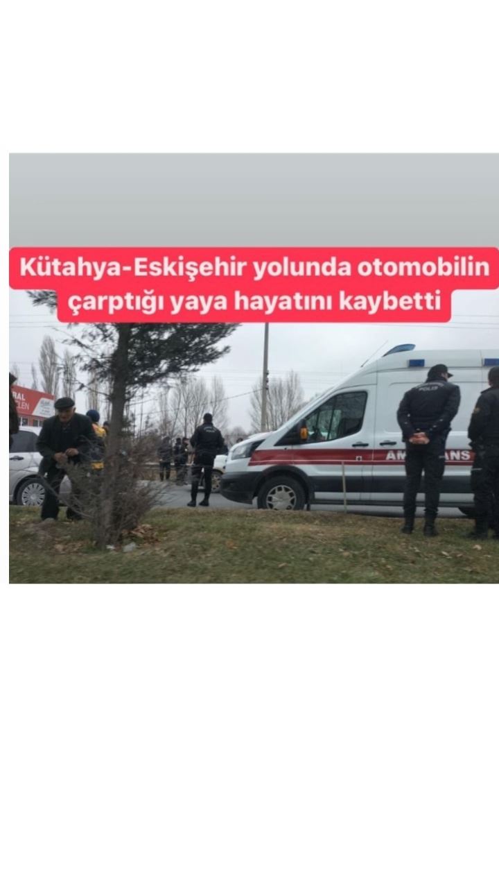 Otomobilin çarptığı yaya hayatını kaybetti